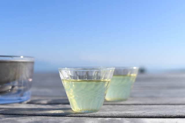 駿河お茶テラス