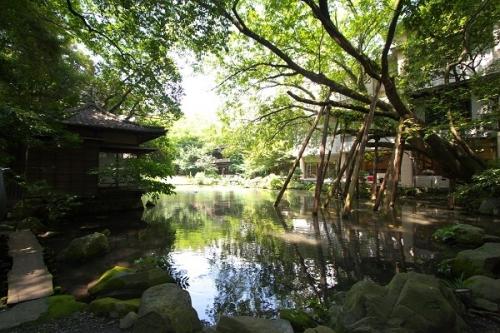 140年この地に息づく日本庭園はどの角度からみても絵になる景観が広がります。