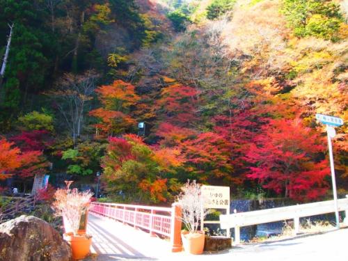 梅ヶ島温泉｜【公式】静岡のおすすめ観光スポット／駿府静岡市～最高の