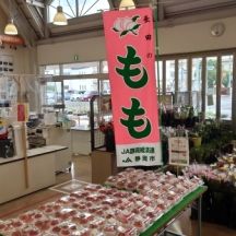 長田の桃の販売期間は６月～７月中旬までとなります。