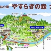 静岡市清水森林公園 やすらぎの森