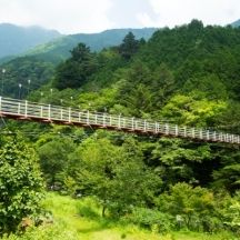 安倍大滝つり橋