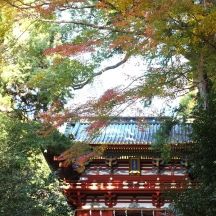 楼門＆紅葉