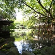 140年この地に息づく日本庭園はどの角度からみても絵になる景観が広がります。