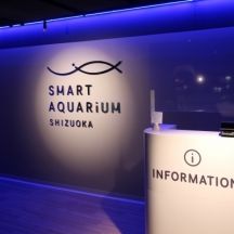 日本初！百貨店の中のスタイリッシュな水族館