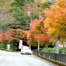 秋の紅葉