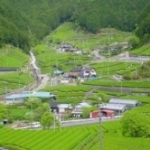 有東木の里山の景色