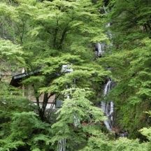 梅ヶ島温泉の湯滝