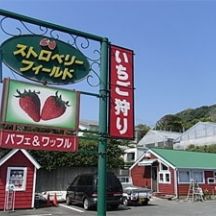 いちご狩り農園　Ｓｔｒａｗｂｅｒｒｙ　Ｆｉｅｌｄ