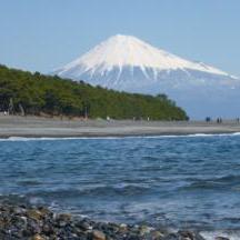 羽衣の松下海岸から見る富士山と松林が織りなす景色