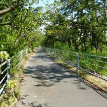 灯台近くを通る自転車道