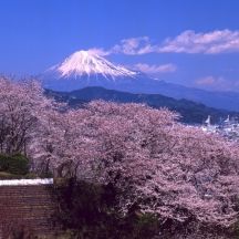 Shimizu Funakoshi-zutsumi Park