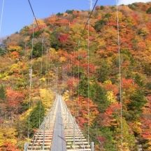 畑薙大吊橋からの紅葉