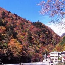 梅ヶ島温泉郷の紅葉