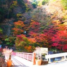 おゆのふるさと公園（紅葉の様子）