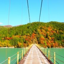 井川湖周辺の紅葉