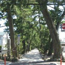 御穂神社へ続く神の道