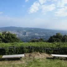 梶原山公園から草薙・日本平方面の眺望