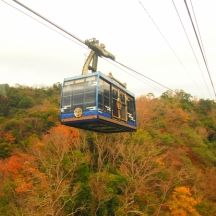 久能山東照宮に行ける日本平ロープウェイ