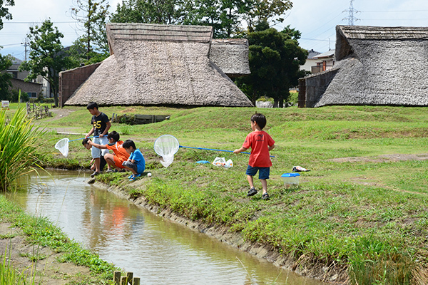 Historical and Cultural Experiences