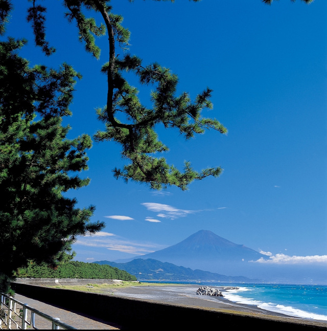 三保海岸と富士山（夏）