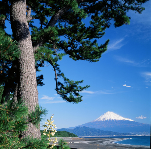 三保海岸からの富士山