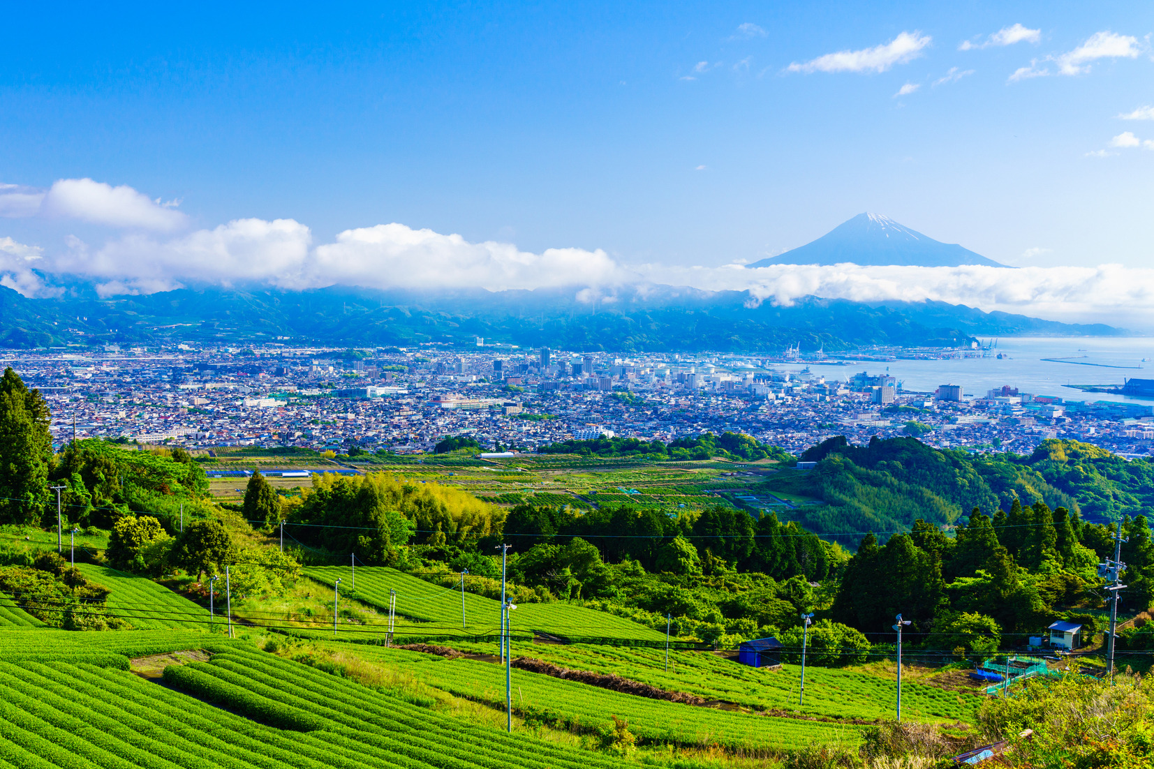 はじめての静岡市～グルメ・お土産・スポット情報まで幅広くご紹介～