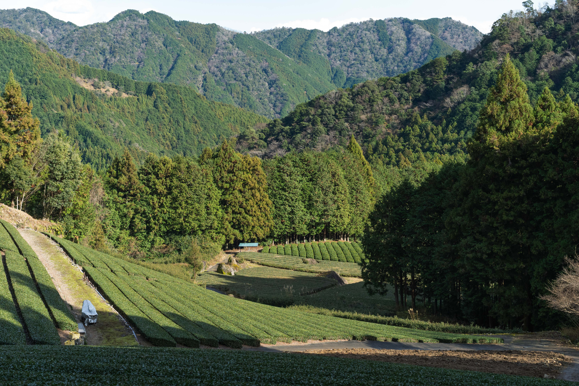 静岡駅発、公共交通で里山の温泉を目指す旅！