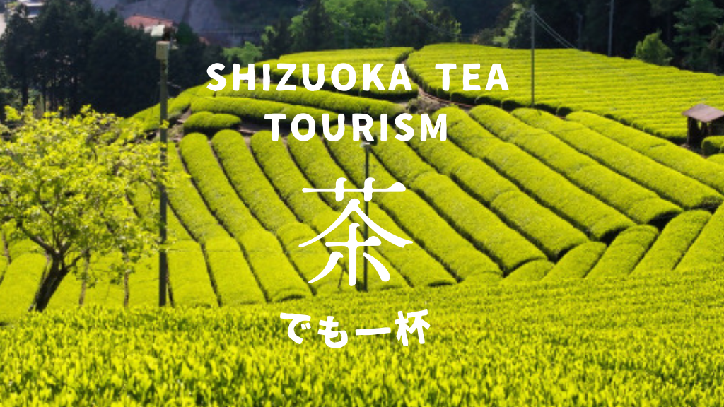 茶どころ静岡！茶畑で極上の一杯を楽しみませんか？