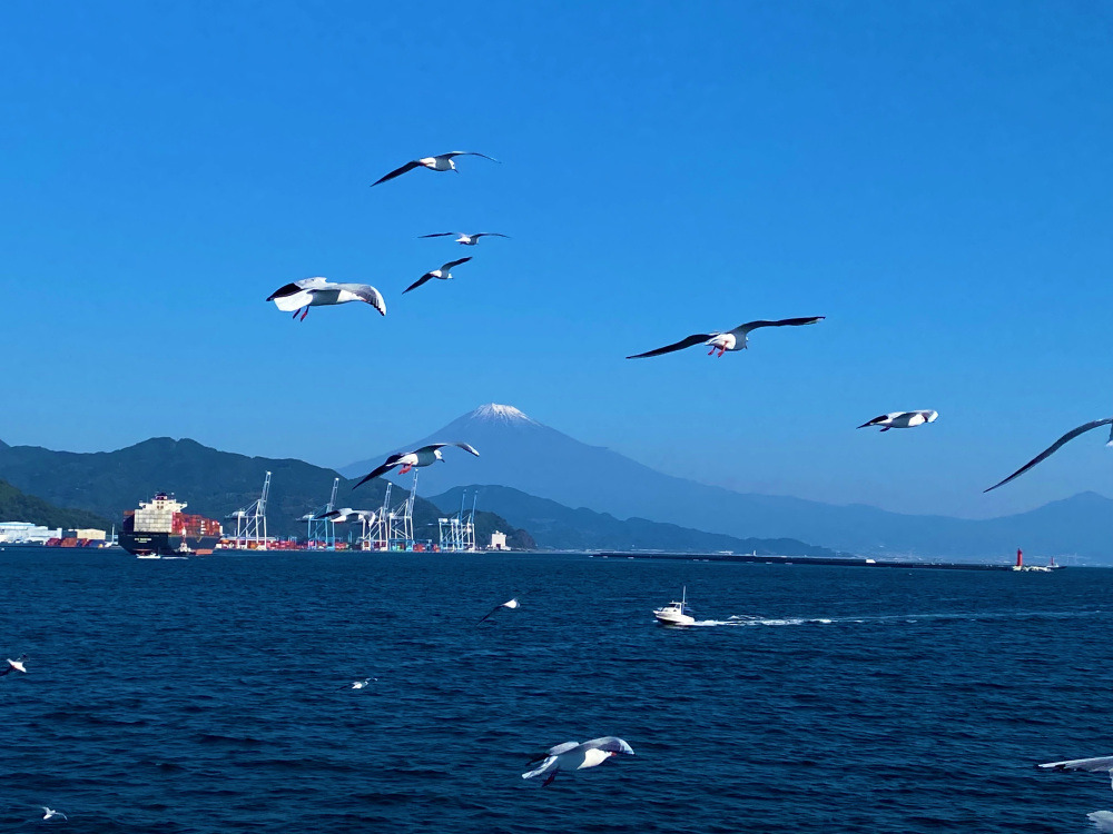 デッキからの景色