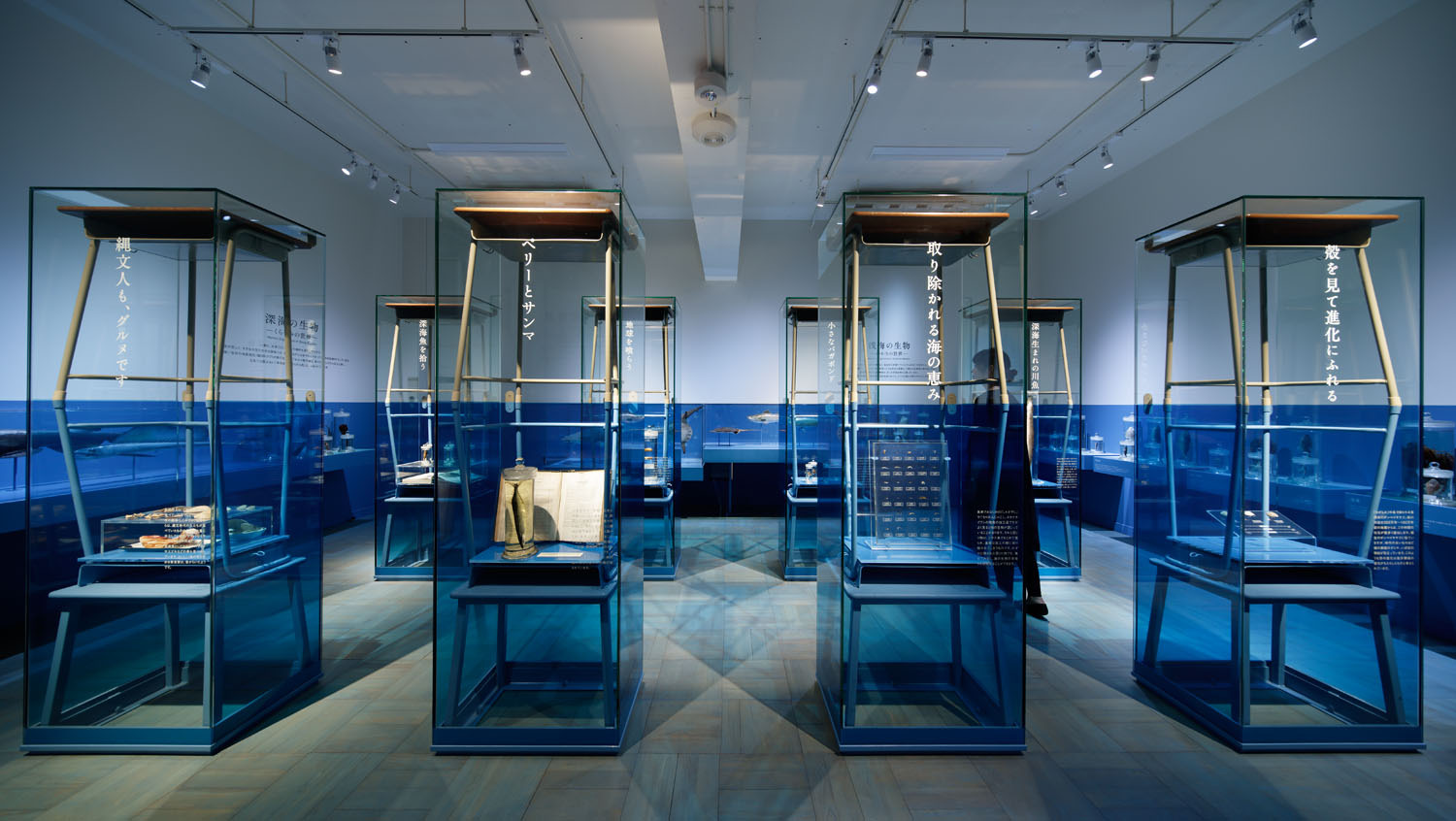 ふじのくに地球環境史ミュージアム　©ナカサ＆パートナーズ