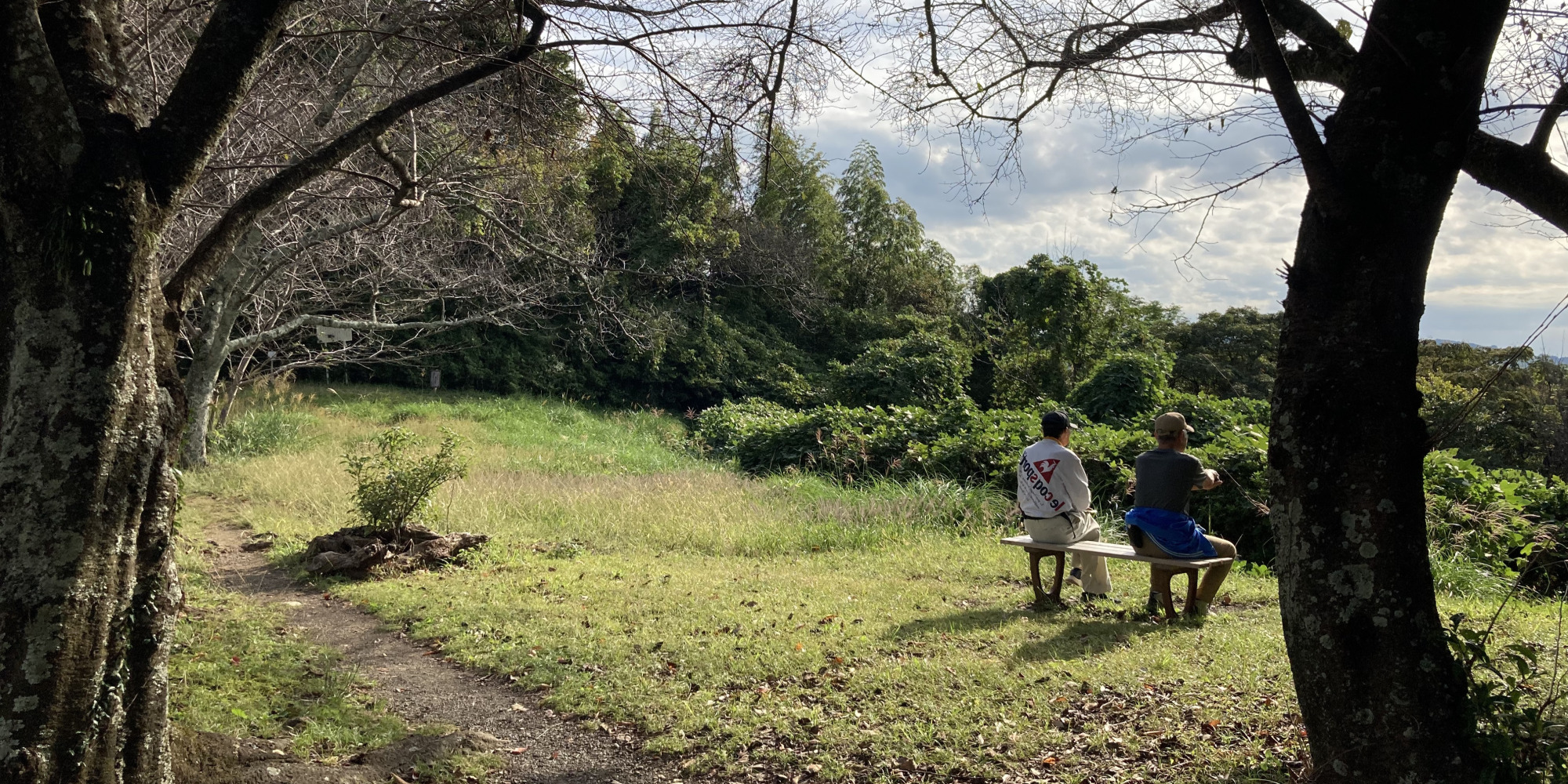 ハイカーやトレイルランナーよりも、お散歩を楽しむ地域の方々の姿が多く見られる谷津山