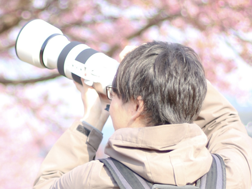 ライター紹介：守谷 恵介