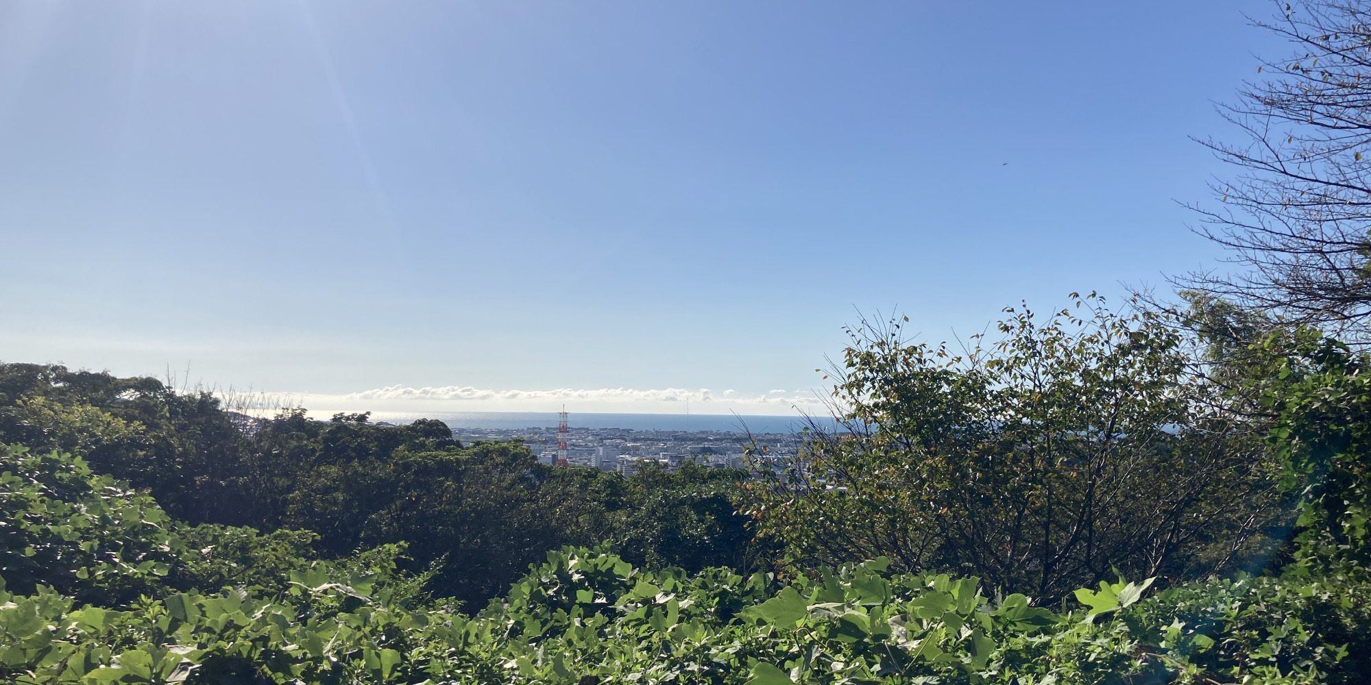 日本で一番深い湾・駿河湾を森の隙間から望むことができます。