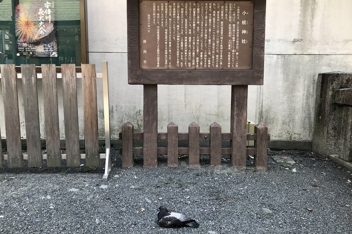 ハトも一休み