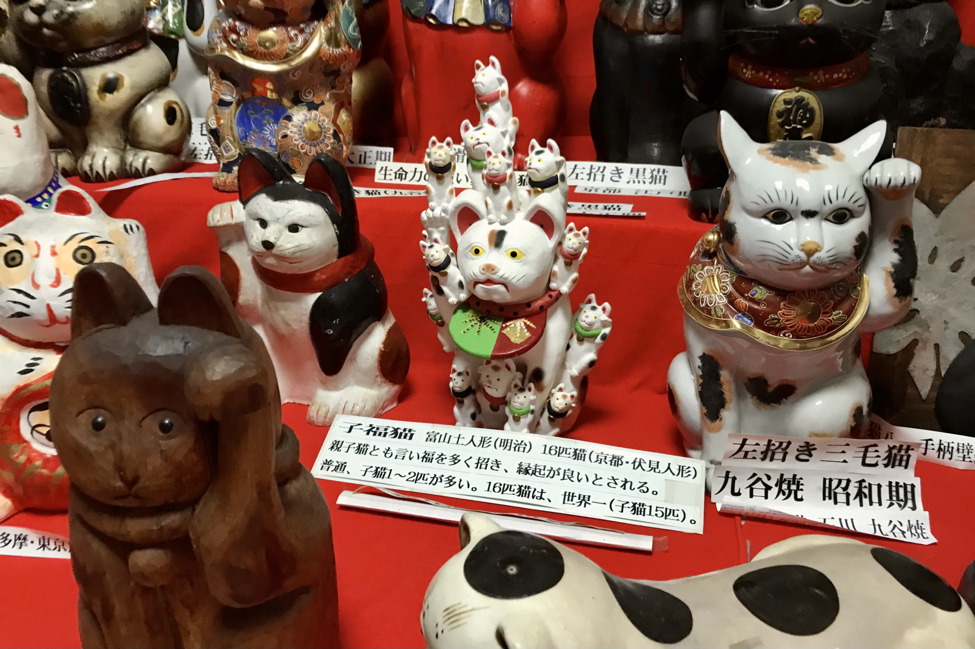 子福猫(こふくねこ)