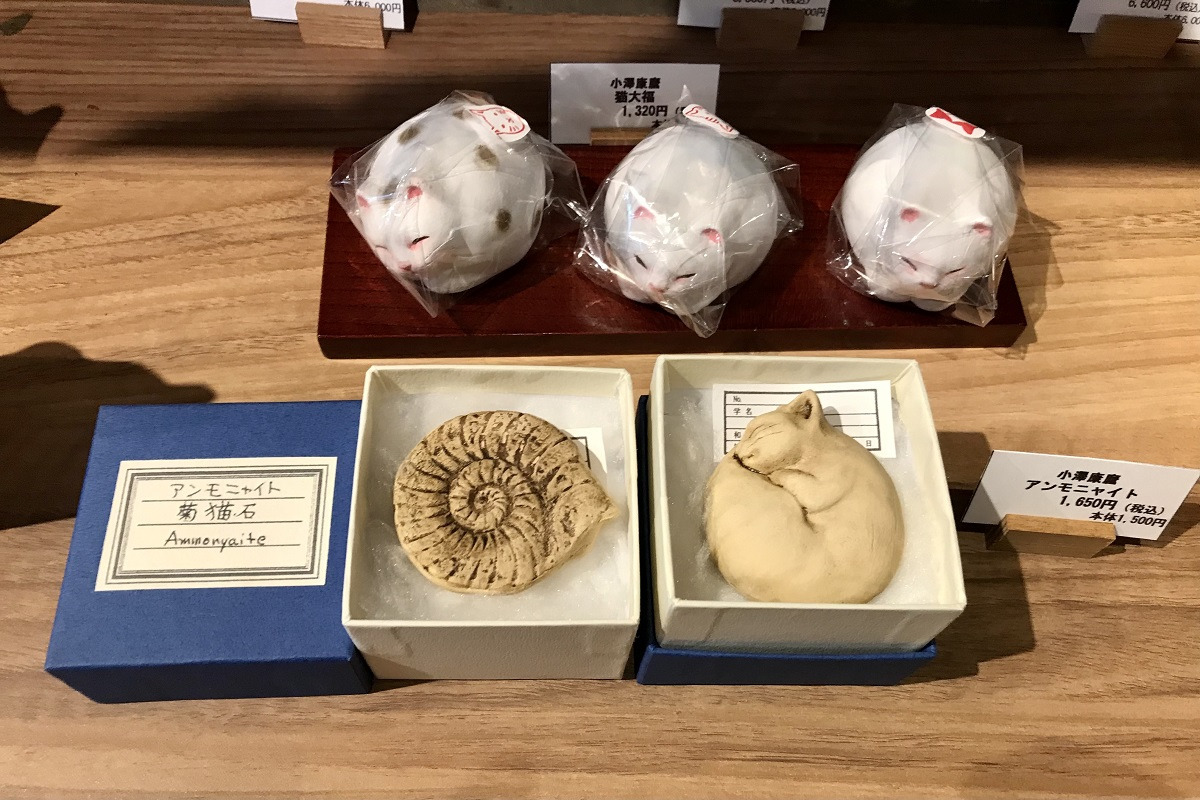アンモニャイト(菊猫石)など