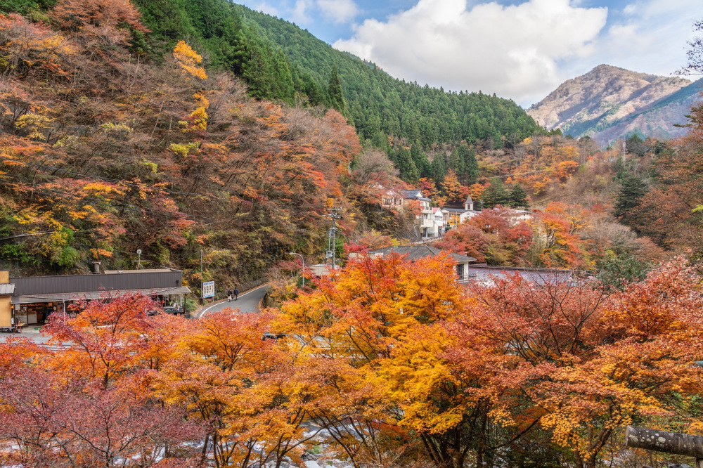 梅ヶ島温泉の基本情報