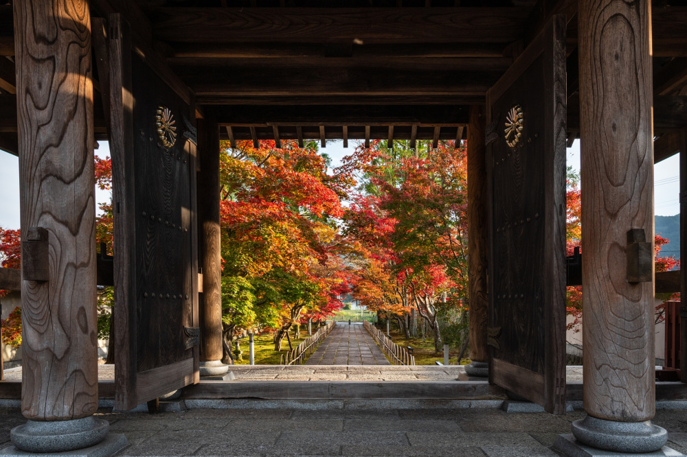 新光明寺の基本情報