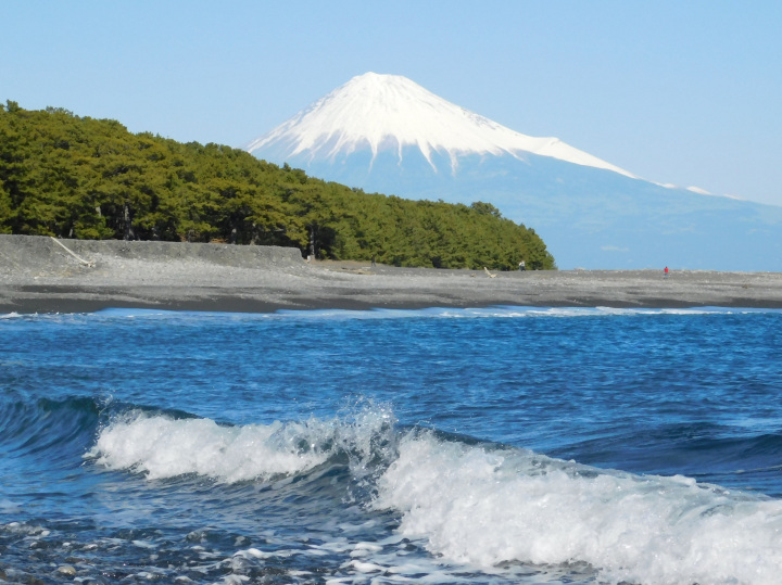 水上バスで行く、三保松原の絶景と歴史を巡るコース