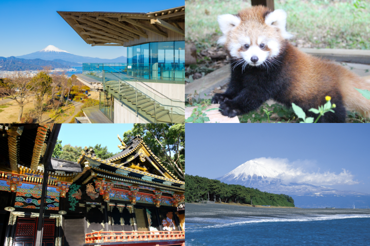 ファミリーにおすすめ!満喫静岡(清水・日本平・三保エリア編)