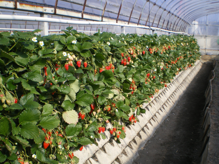 [ Undefined: coursed-title-plain ]