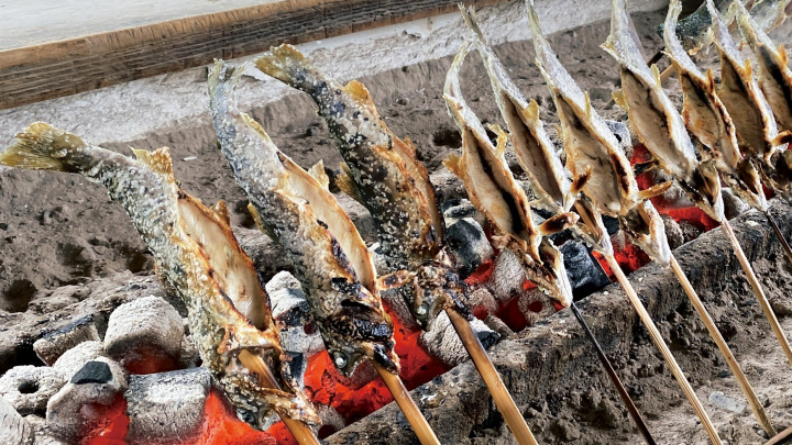 [ Undefined: coursed-title-plain ]