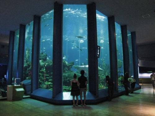海のはくぶつかん　東海大学海洋科学博物館