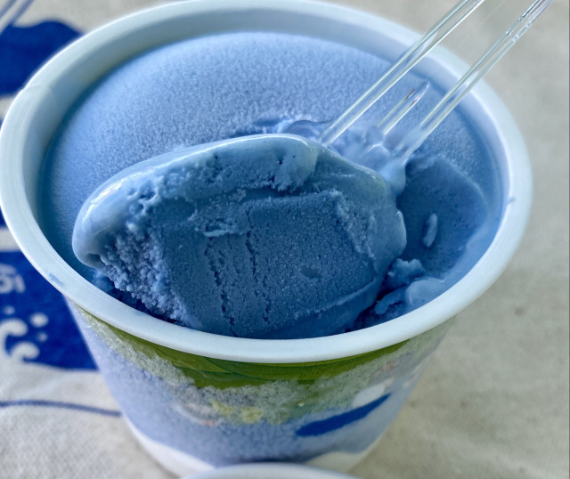 駿河湾ジェラートNo223