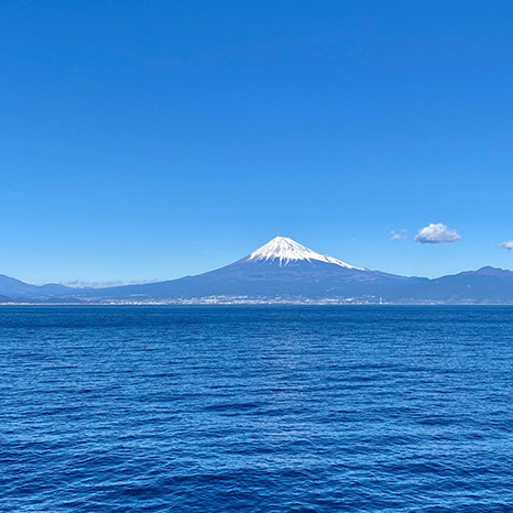 富士山の景色