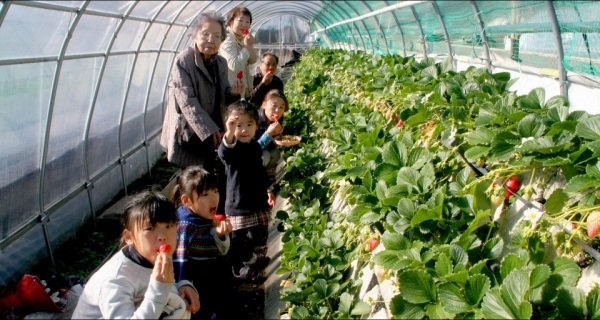 マルトヨいちご園