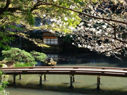 浮月楼 レストラン