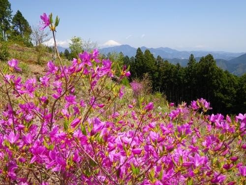 ダイラボウ（ハイキングコース）