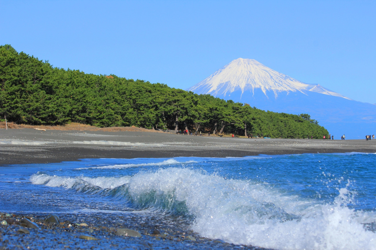 三保松原から見る富士山